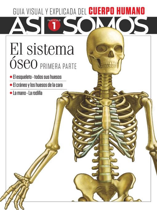 Détails du titre pour Así Somos - El cuerpo humano par Media Contenidos - Disponible